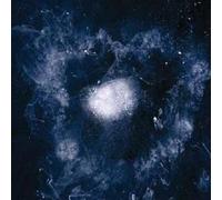 Swans - My Father Will Guide Me Up A Rope To The Sky [VINYL]