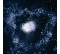 Swans - My Father Will Guide Me Up A Rope To The Sky