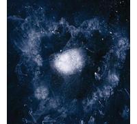 Swans My Father Will Guide Me Up to a Rope to the Sky (Vinyl) (US IMPORT)