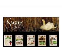 SWANS PRESENTATION PACK Royal Mail Mint British Collector Stamps in Presentation Pack - 1993 *** MNH ** No. of Stamps: 5 *** Guaranteed Brand New, Well-Packaged, Gift-Wrapped Free
