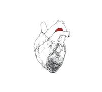 Swans - The Beggar [VINYL]