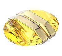 Swarovski 5613552 Lucent Pair Of Earrings In Gold Gold One Size