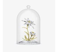Swarovski Florere 130th Anniversary Bell Jar Figurine 5701376