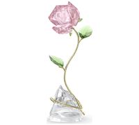 Swarovski Florere Rose 5666973 - Unisex Multicoloured 11.6 x 5.3 x 4.1