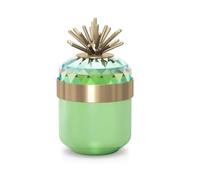 Swarovski Jungle Beats Decorative Box AndokiLight Green 5619216