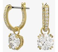 Swarovski Ladies Constella Gold Plated Hoop Dropper Earrings 5638802