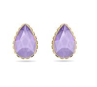 Swarovski Swarovski Std Errngs Ld99