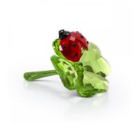 Idyllia Ladybug and Clover