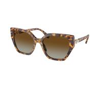 Swarovski SK6016 1004T5 Woman Sunglasses Acetate Turtle Brown Geometric Polarized Shaded