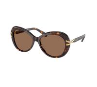 Swarovski SK6026 100273 Woman Sunglasses Acetate Turtle Brown Butterfly Normal