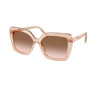 Swarovski SK6049 106313 Woman Sunglasses Acetate Brown Brown Butterfly Normal Nuanced