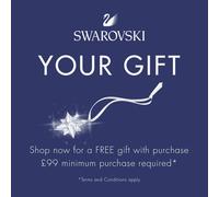 Swarovski Star Ornament 2018