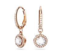 Swarovski Ladies Constella Rose Gold-Plated Dropper Hoop Earrings 5638769