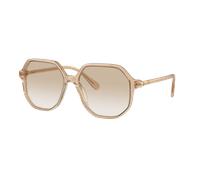 Swarovski Woman Sunglass SK6003 - Frame color: Opaline Light Brown, Lens color: Gradient Light Grey