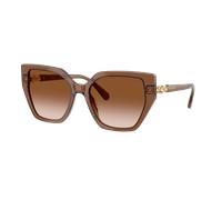 Swarovski Woman Sunglass SK6016 - Frame color: Transparent Brown, Lens color: Gradient Brown