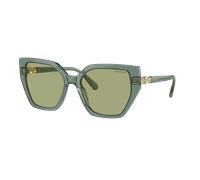 Swarovski Woman Sunglass SK6016 - Frame color: Transparent Green, Lens color: Dark Green
