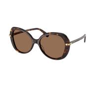 Swarovski Woman Swarovski SK6059 100273 Sunglasses Acetate Turtle Brown Butterfly Normal