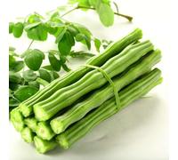 Swathi Fresh Drumstick Moringa Pods Farm Fresh, Tender and Long Authentic South Indian Vegetable for Sambar, Curry, Kootu, Avial Perfect for Indian Cooking 500g
