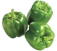 Swathi Fresh Green Paprica Crisp, Vibrant, and Naturally Sweet Bell Peppers Farm Fresh Capsicum 500g