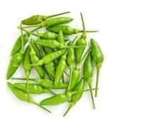 Swathi Fresh Green Vada Chilli Spicy Green Chillies for Authentic Indian Flavour Ideal for Vada Pav, Pakora, Bhajji, and Traditional Street Food Recipes 300g