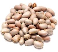 Swathi Fresh Jack Fruit Seeds Ready to Cook or Roast Traditional Indian Culinary Delight 500g