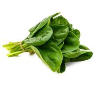 Swathi Fresh Pasali Leaves Bunch Pasali Keerai Perfect for Traditional Cooking Approx 500g