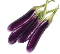 Swathi Fresh Sri Lankan Brinjal Eggplant Crisp, Tender and Flavorful Purple Brinjal from Sri Lanka 1kg
