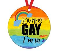 Swavecat Christmas Ornament Sounds Gay I'M In LGBT Hummingbird Novelty Ceramic Christmas Tree Decoration Ornament Lesbian Pride Rainbow Support Xmas Tree Ornaments Pride Parade LGBT Ornament