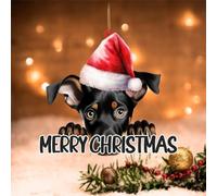 Swavecat Doberman Pinscher Tree Decoration Ornament Doberman Pinscher Dog with Santa Hat Merry Christmas Stocking Filling Acrylic Ornament Double-Sided Print 2D Christmas Decorations 3in