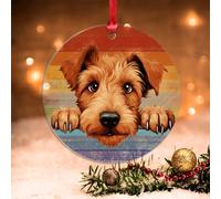 Swavecat Irish Terrier Rainbow Dog Ornament Xmas Hanging Ornament Irish Terrier Cute Funny Peeking Dog Puppy Novelty Acrylic Christmas Ornament Gay Dog Dad Gift Christmas Ornament