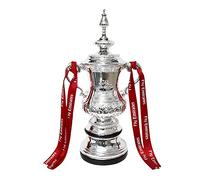 SWAYVES Resin Footballs Trophy Model FA Cup Trophy Replica Plating Silver Men and Women Fans Collect Home Souvenirs Trophies,32Cm