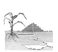 Swearing At Motorists - Swearing At Motorists [VINYL]