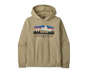 Sweat Patagonia M's Fitz Roy Foothills Daily Hoody (Weathered Stone) Men