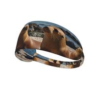 Sweat-Wicking Sport Headband - Wide Elastic Fit for Any Workout