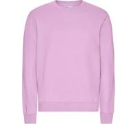 Sweater Colorful Standard Classic Organic Cherry Blossom Violet M