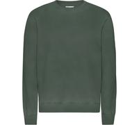 Sweater Colorful Standard Classic Organic Midnight Forest Vert S