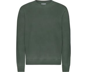 Sweater Colorful Standard Classic Organic Midnight Forest Vert S