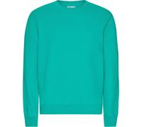 Sweater Colorful Standard Classic Organic Tropical Sea Bleu M