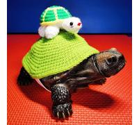 Sweater for Turtle Warm Winter Knitted Handmade Sweater Apparel Accessory Halloween Party Cosplay Costume Photo Shoot for Pet Tortoise Turtle (Lvmao, M)