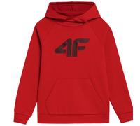 Sweatshirt 4F Jr. 4FJSS23TSWSM220 62S