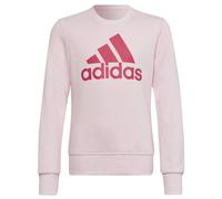 Sweatshirt adidas Big Logo SWT Jr HM8709