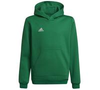Sweatshirt adidas Entrada 22 Hoody Y Jr HI2143