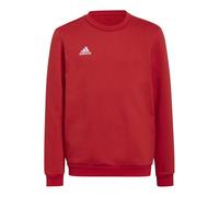 Sweatshirt adidas Entrada 22 Sweat Jr H57473