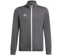 Sweatshirt adidas Junior Entrada 22 Track Jr H57521