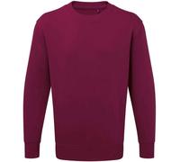 Sweatshirt Anthem Burgundy XXXL