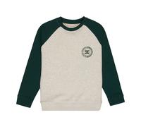 Sweatshirt child DC Shoes Corpo Raglan Vert 14 ans