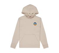 Sweatshirt child DC Shoes Shape Or Destroy Beige 14 ans