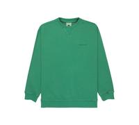 Sweatshirt child Element Lowcase Pigment Vert 16 ans