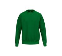 Sweatshirt child Erima TS 10 years