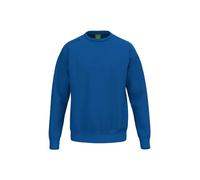 Erima Unisex Children's TS Basic Sweatshirt (2072585) New Royal, 152
